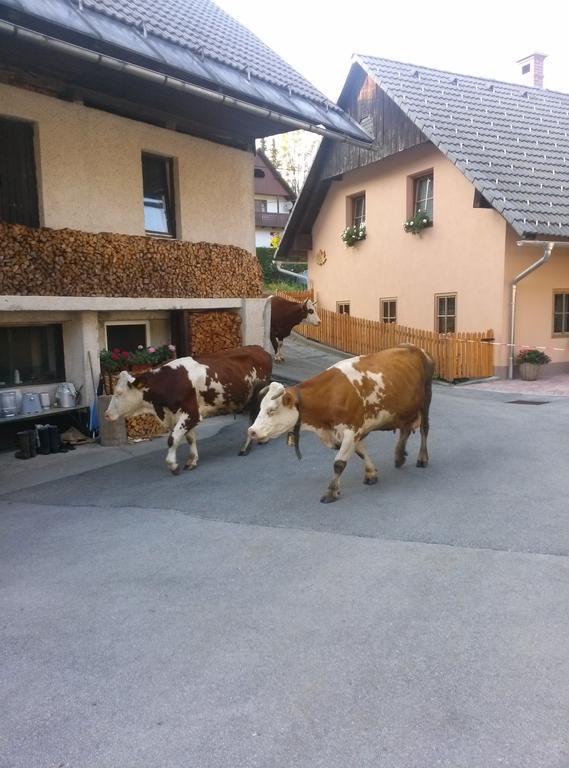 Apartmaji Matej Cvetek Bohinj Exterior foto